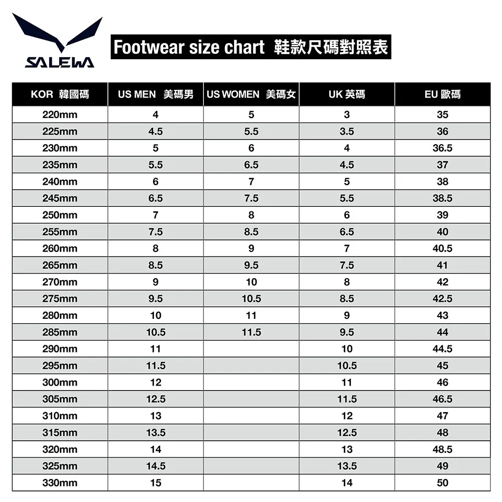 男裝防水登山健行鞋 Alp Trainer 2 GTX