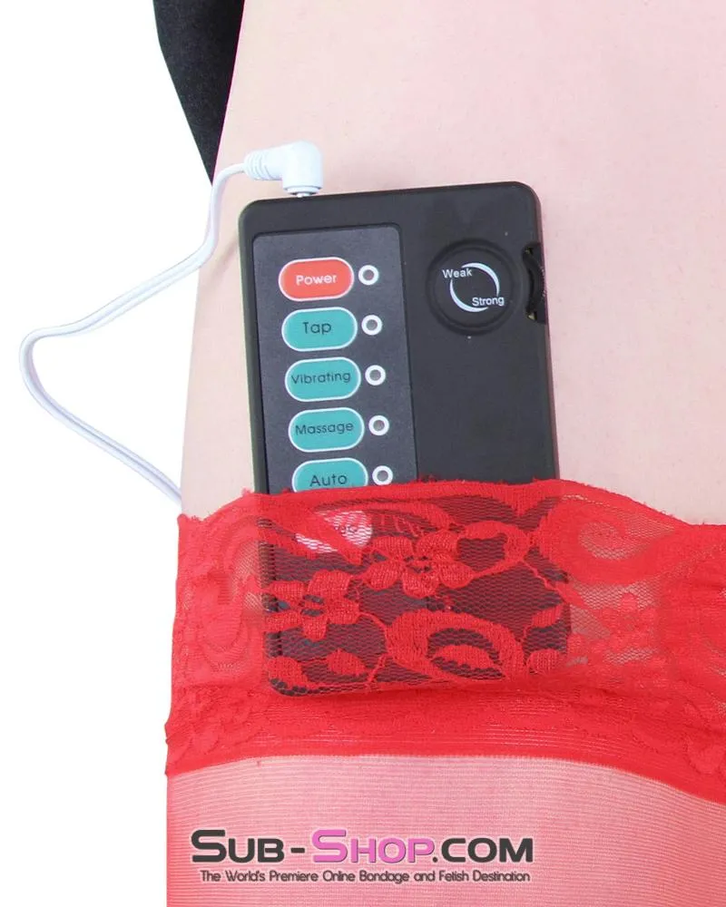 0842RS-SIS      Sissy Slave Sub-Shock Black Electro Stim Power Box