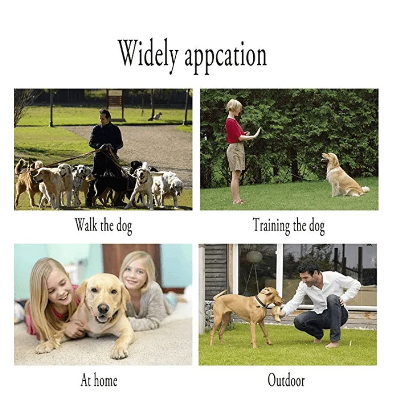 3 in 1 Ultrasound Dog Training Device.