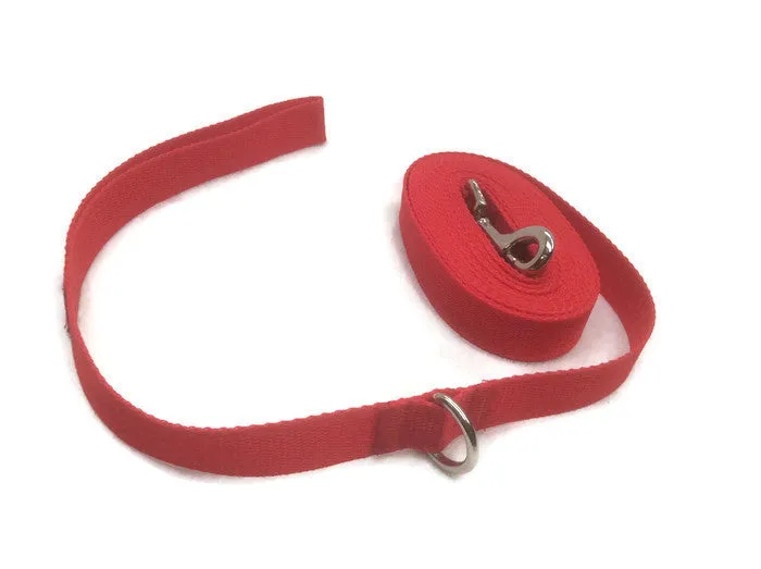 5mts 2.5cms Lead Red Cotton Leash Recall Beach Park Pet Dog Puppy Long Training Lead