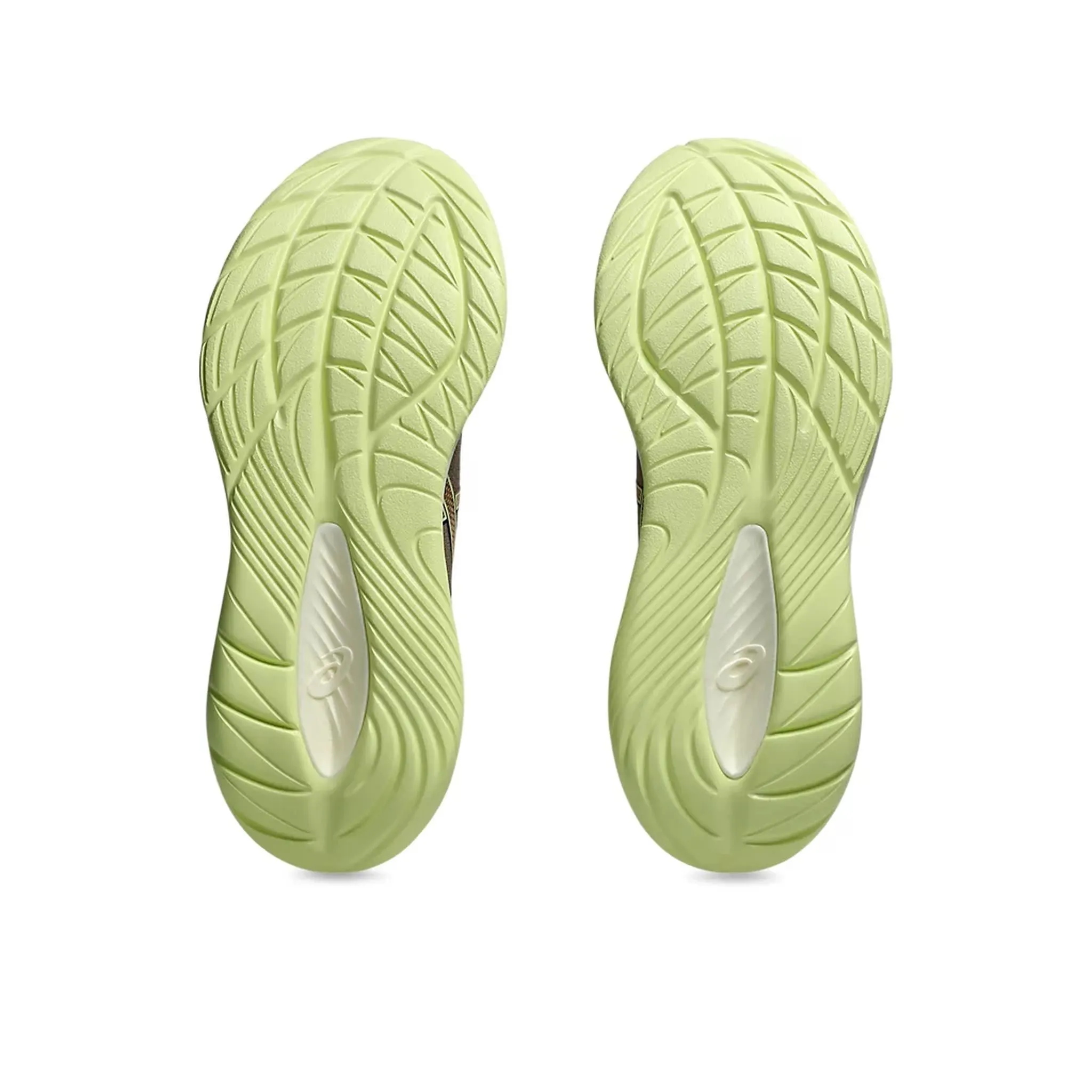 ASICS Gel-Cumulus 27 2E Mens Running Shoes