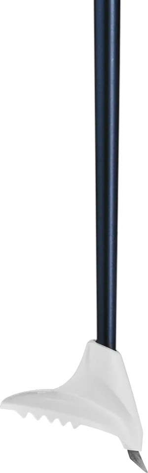 CC 450