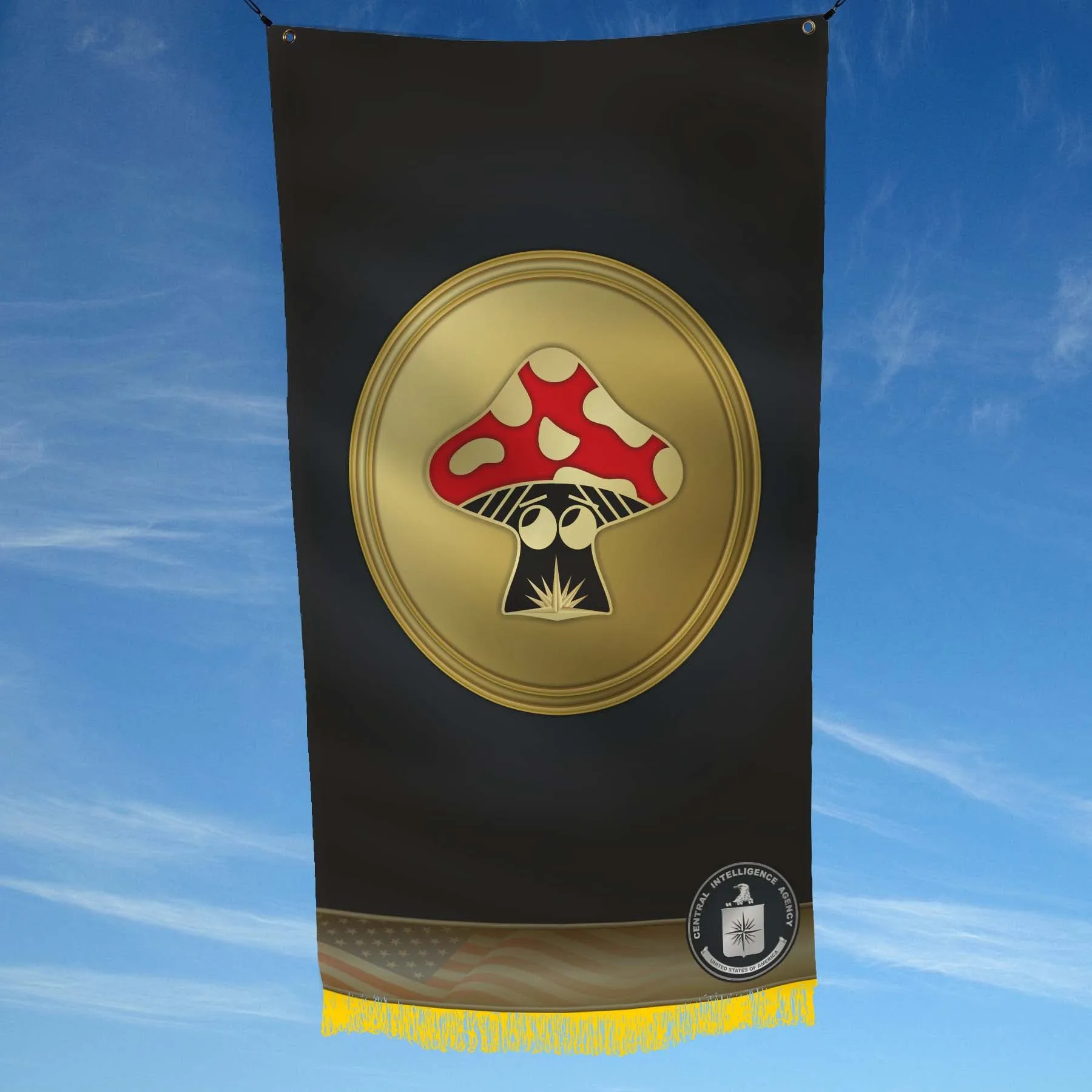 CIA Clandestine Service Training TICS KITD FODS Flag Banner