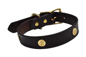 Dog Collar With Shotgun Shells