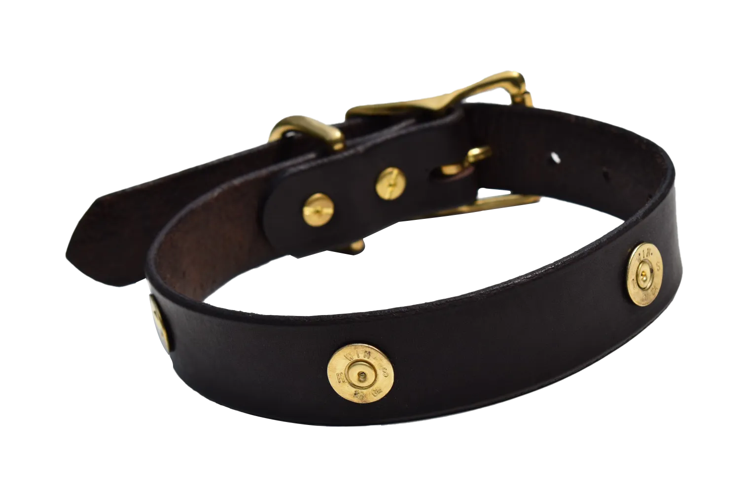 Dog Collar With Shotgun Shells