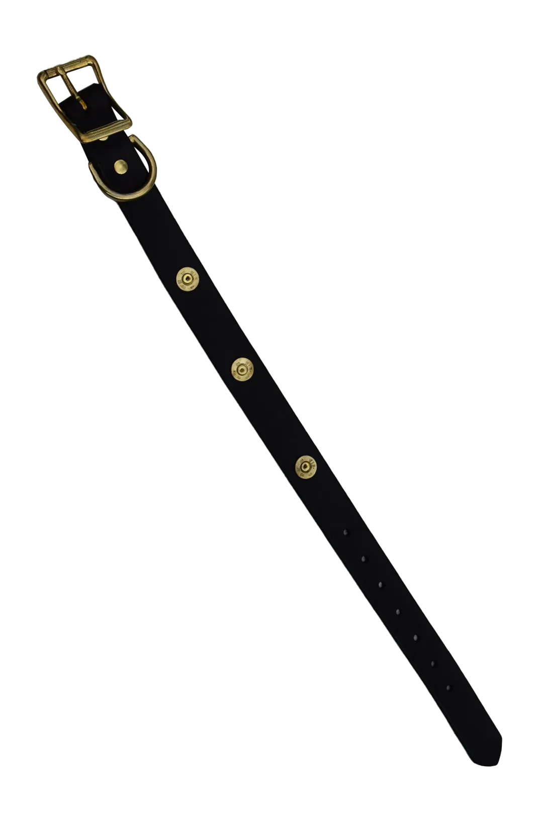 Dog Collar With Shotgun Shells