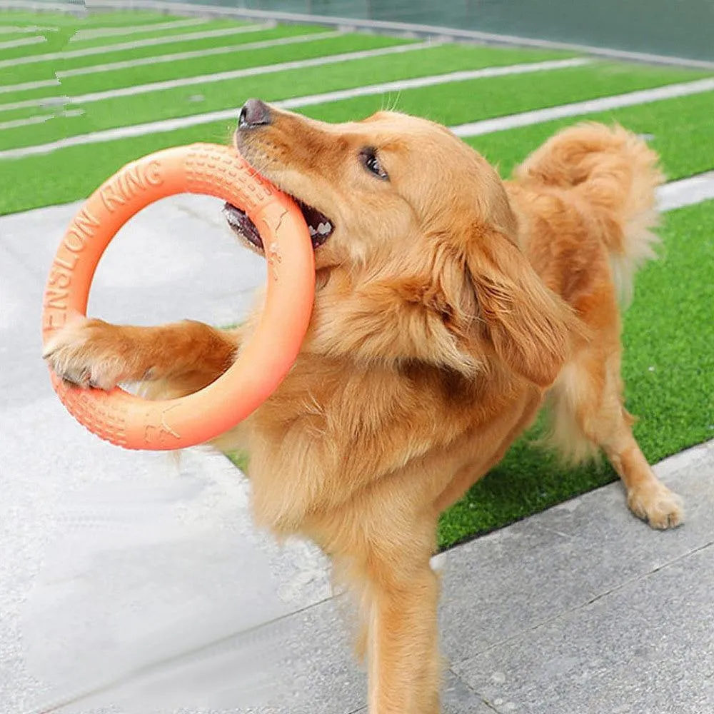 Dog Flying Ring | Chew Outdoor Toy