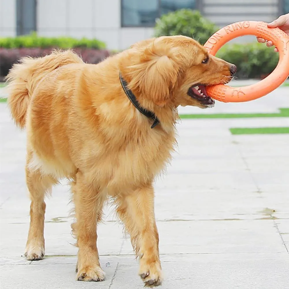 Dog Flying Ring | Chew Outdoor Toy
