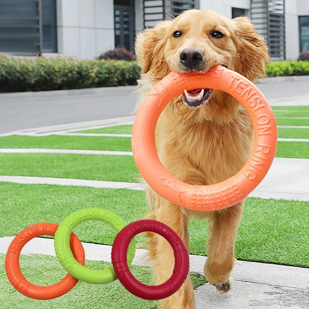 Dog Flying Ring | Chew Outdoor Toy