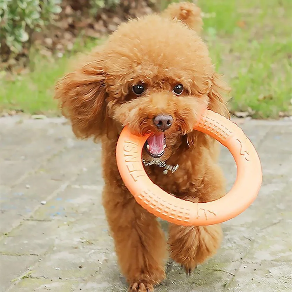 Dog Flying Ring | Chew Outdoor Toy