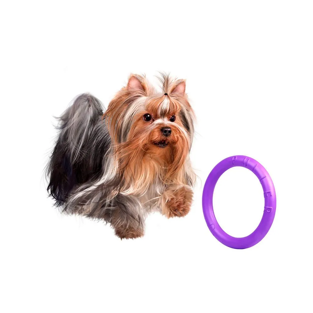 Dog PULLER Collar For Training and Fitness