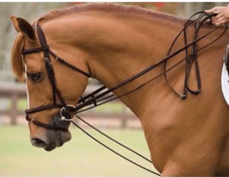 Draw Reins 6821LE Webbing Black