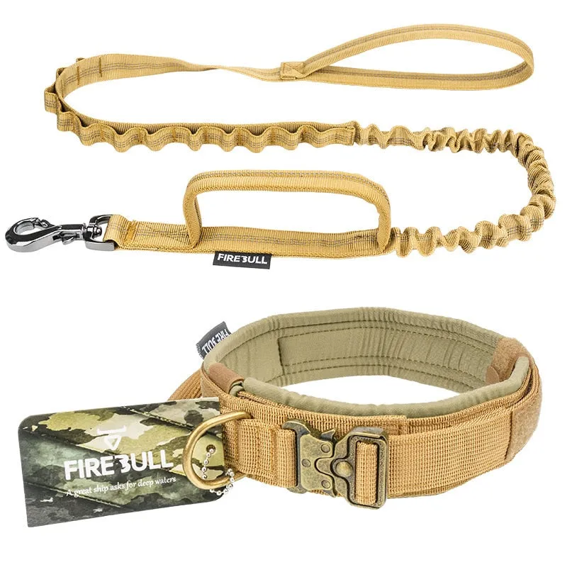 Fire Bull Dog Collar and Leash Set