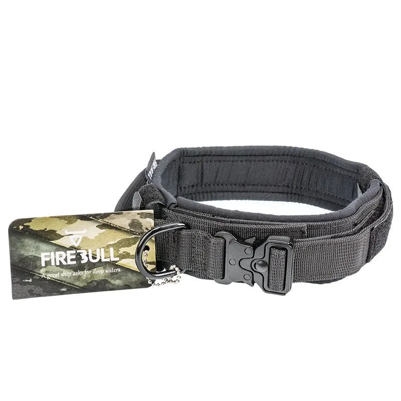 Fire Bull Dog Collar and Leash Set