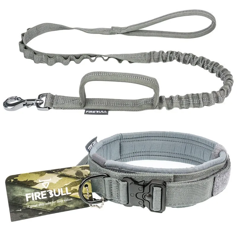 Fire Bull Dog Collar and Leash Set