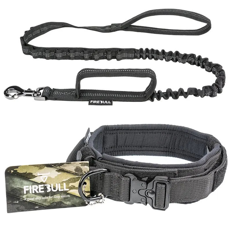 Fire Bull Dog Collar and Leash Set