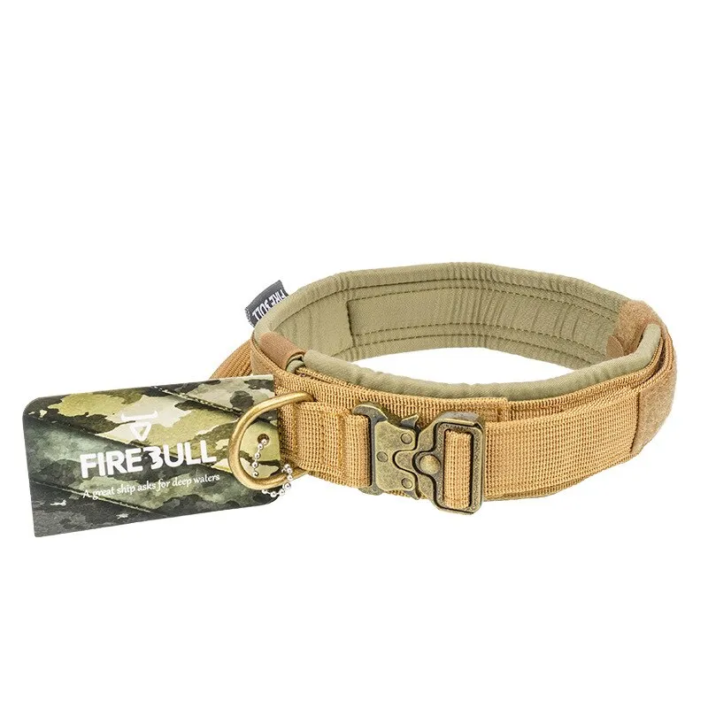 Fire Bull Dog Collar and Leash Set