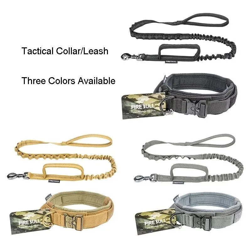 Fire Bull Dog Collar and Leash Set