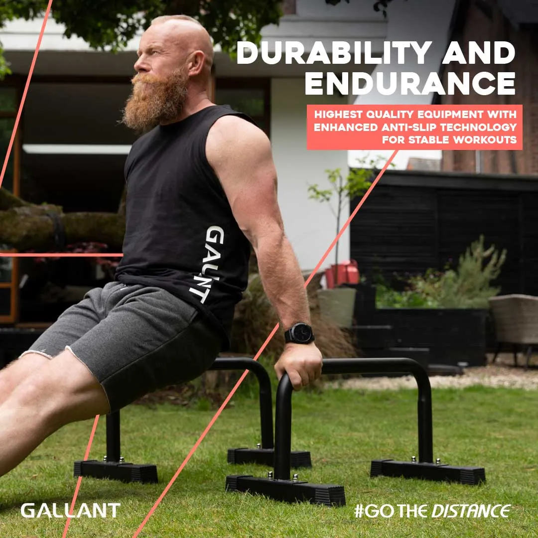 Home Training Bundle - Ab Wheel Roller, Push UP Stands & Skipping Rope
