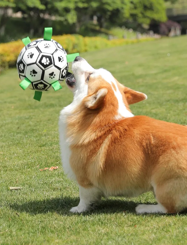 Interactive Dog Football Training Ball & Chew Toy