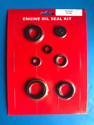Kawasaki F8 Engine Oil Seal Kit Bison 250 1971 1972 Crank Clutch Kick Shift Seal 