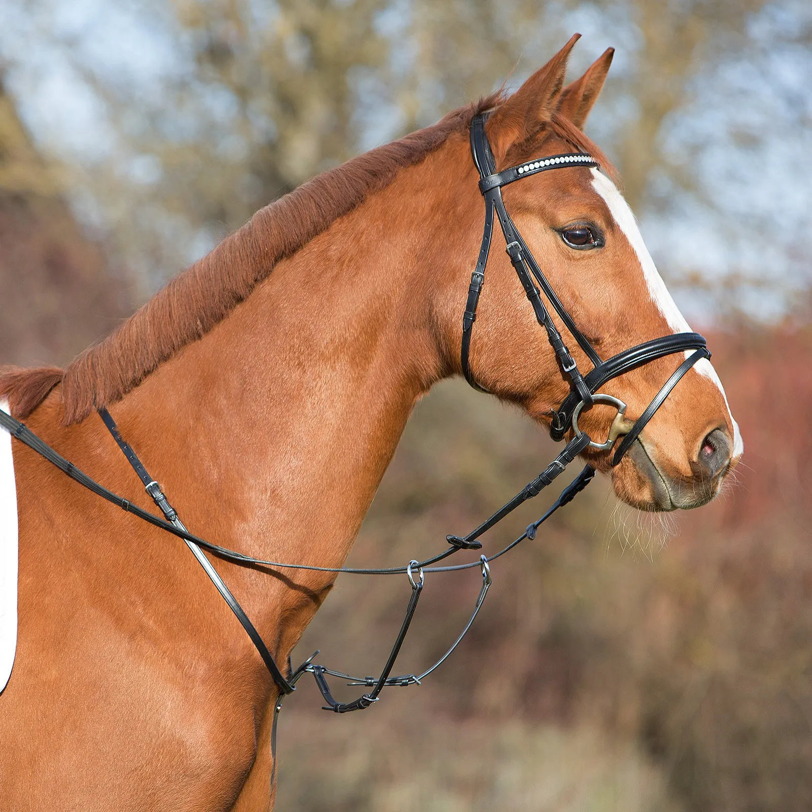 Kieffer Martingale with Adjustable Fork