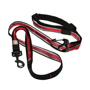 Kurgo Reflect & Protect Quantum Lead