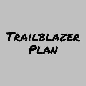 Online Coaching Trailblazer 6-Month Plan