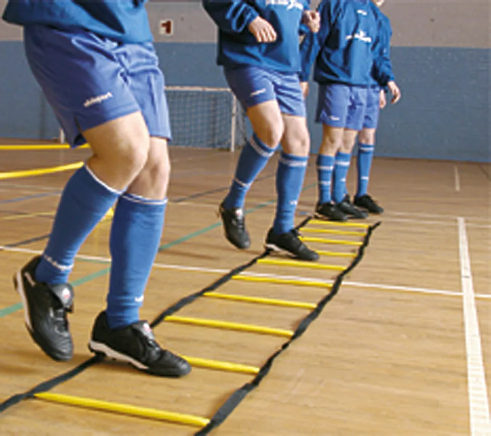 Precision Training Indoor Speed Agility Ladder