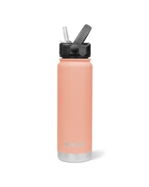 Project Pargo 750mL Insulated Bottle w/ Straw Lid - Coral Pink