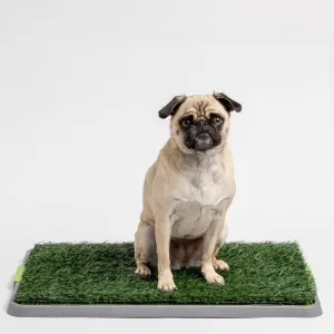 Silver Paw - Potty Patch - Small