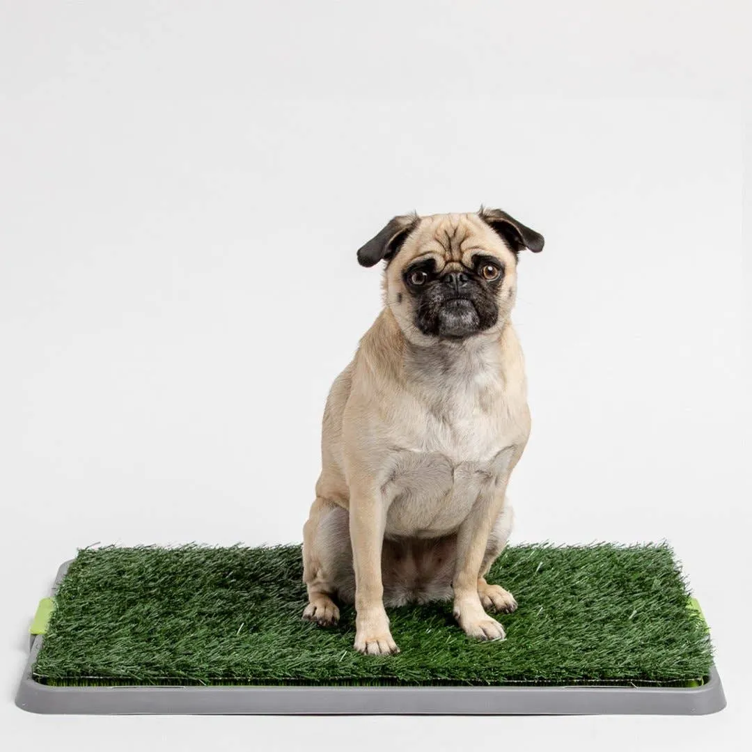 Silver Paw - Potty Patch - Small