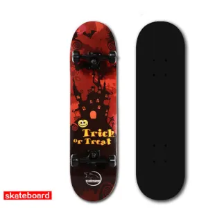 SK-CL Professional long board double rocker