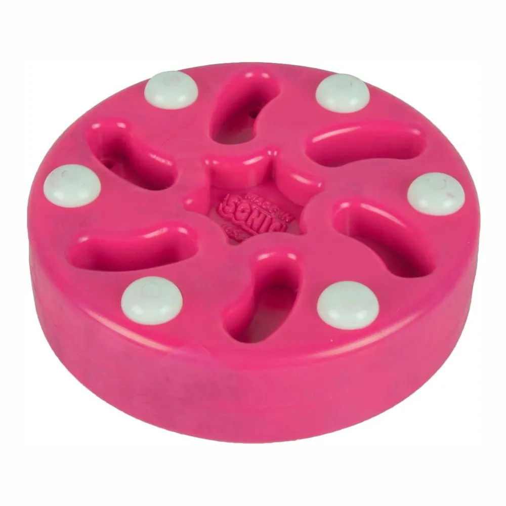 Sonic Roller Hockey Puck