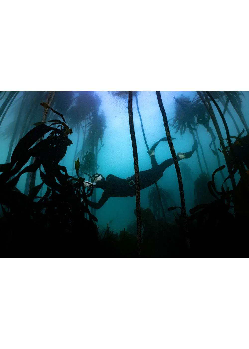 Suunto Ocean Dive Computer