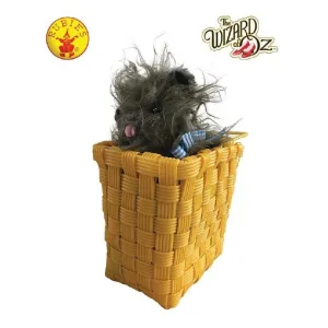 Toto In A Basket