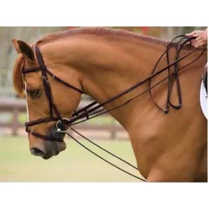 Webbing Draw Reins