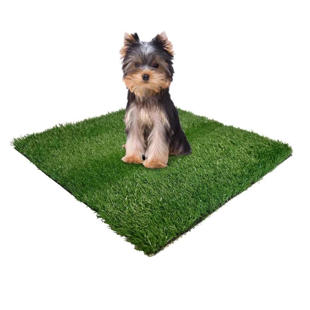 Wee-Wee Patch Indoor Potty Replacement Grass