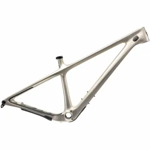 Yeti ARC T-Series Carbon Mountain Bike Frame 2022 - Dom